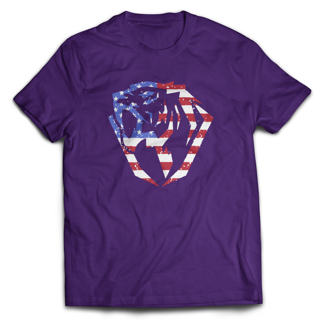 American Colors Logo T-Shirt