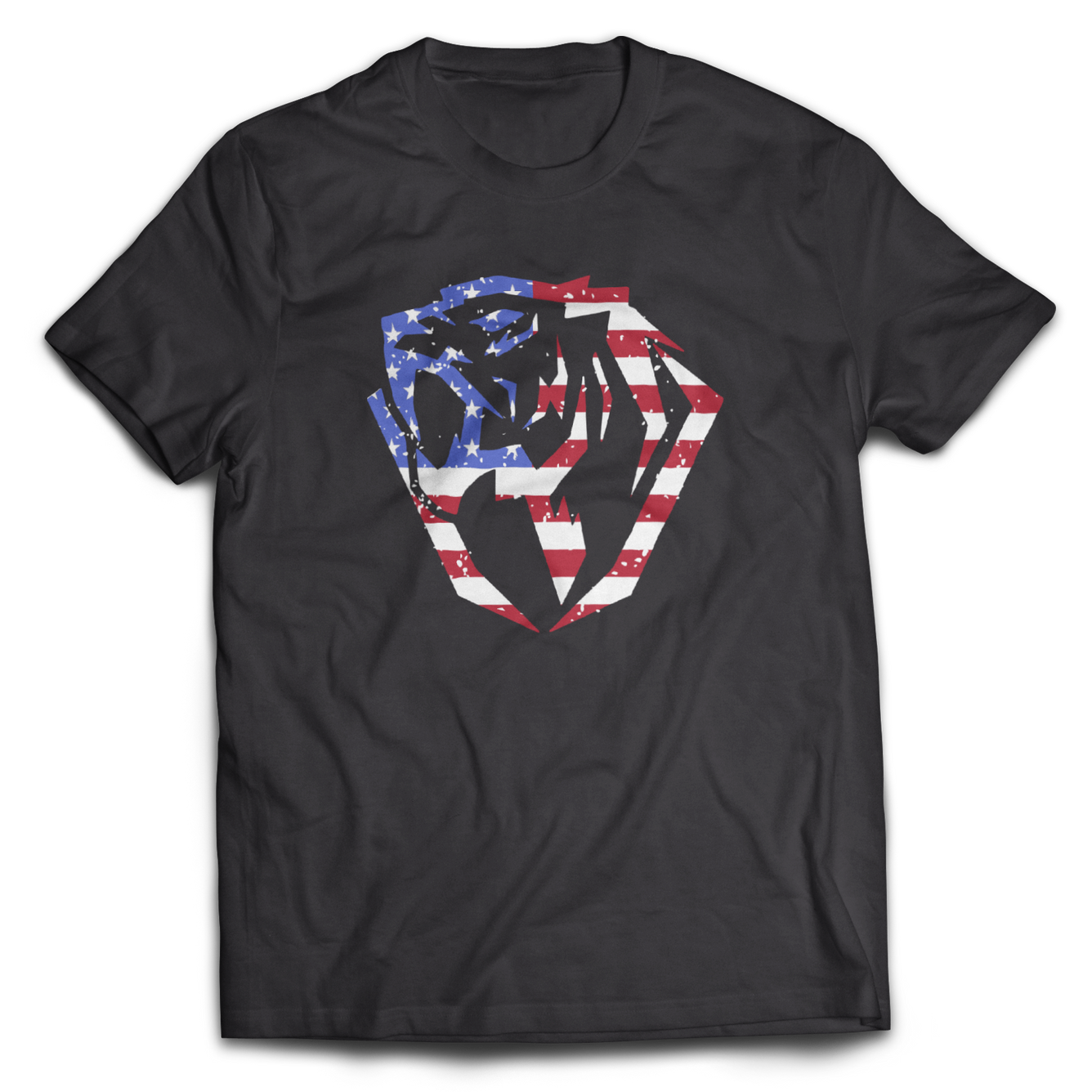 American Colors Logo T-Shirt